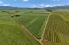 229 Russell Road, Gordonvale, Qld 4865