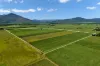 229 Russell Road, Gordonvale, Qld 4865-Image