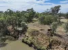 23028 Kamilaroi Highway, Wee Waa, NSW 2388-Image