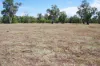 23028 Kamilaroi Highway, Wee Waa, NSW 2388-Image