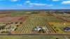 233 Back Springfield Road, Woongarra, Qld 4670