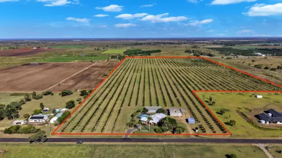 233 Back Springfield Road, Woongarra, Qld 4670