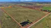 233 Back Springfield Road, Woongarra, Qld 4670-Image