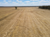 233 Warbilla Road, Barmedman NSW 2668-Image