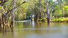233 Warbilla Road, Barmedman NSW 2668-Image
