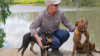233 Warbilla Road, Barmedman NSW 2668-Image