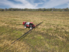 233 Warbilla Road, Barmedman NSW 2668-Image