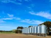 2368 Hamilton Highway, Darlington, Vic 3271-Image