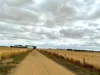 2368 Hamilton Highway, Darlington, Vic 3271-Image