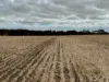 2368 Hamilton Highway, Darlington, Vic 3271-Image