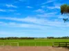 2368 Hamilton Highway, Darlington, Vic 3271-Image