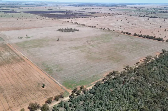 239 Berendebba Lane, Quandialla, NSW 2721
