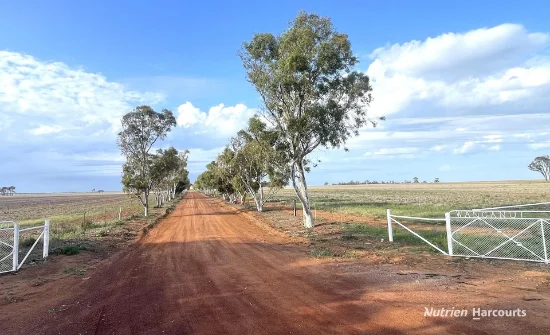 240 Corrigin-Narembeen Road, Corrigin, WA 6375