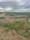 240 Corrigin-Narembeen Road, Corrigin, WA 6375-Image