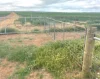 240 Corrigin-Narembeen Road, Corrigin, WA 6375-Image