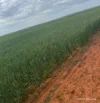 240 Corrigin-Narembeen Road, Corrigin, WA 6375-Image