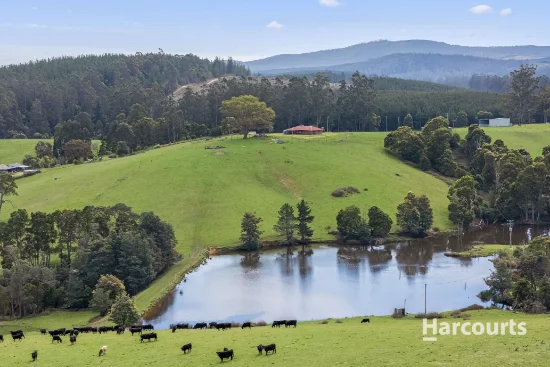 244 Kamona Road, Kamona, Tas 7260