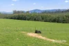 244 Kamona Road, Kamona, Tas 7260-Image