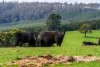 244 Kamona Road, Kamona, Tas 7260-Image