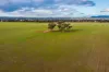 2510 Henry Lawson Drive, Gulgong, NSW 2852-Image