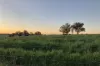2510 Henry Lawson Drive, Gulgong, NSW 2852-Image