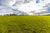 2510 Henry Lawson Drive, Gulgong, NSW 2852-Image