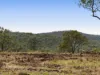252 Green Road, Budgee, Qld 4359-Image