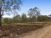 252 Green Road, Budgee, Qld 4359-Image