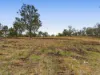 252 Green Road, Budgee, Qld 4359-Image