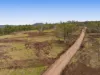252 Green Road, Budgee, Qld 4359-Image