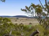 252 Green Road, Budgee, Qld 4359-Image