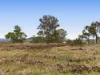 252 Green Road, Budgee, Qld 4359-Image