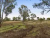 252 Green Road, Budgee, Qld 4359-Image