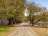 256 Hazelwood Road, Southbrook, Qld 4363-Image