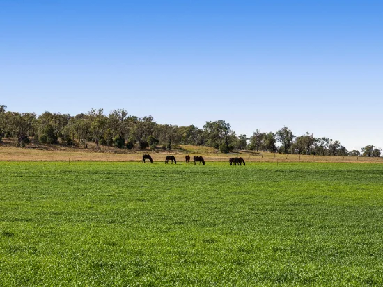 256 Hazelwood Road, Southbrook, Qld 4363-Image