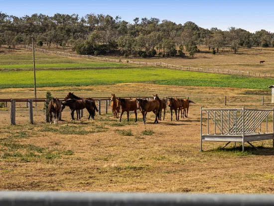 256 Hazelwood Road, Southbrook, Qld 4363-Image