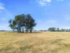 259 Geodetic Road, Miepoll VIC 3666-Image