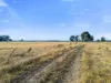 259 Geodetic Road, Miepoll VIC 3666-Image