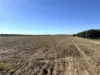 2590 Kirknie Road, Kirknie, Qld 4806