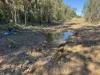 2590 Kirknie Road, Kirknie, Qld 4806-Image