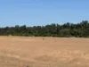 2590 Kirknie Road, Kirknie, Qld 4806-Image