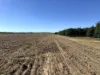 2590 Kirknie Road, Kirknie, Qld 4806-Image