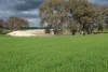 261 Borgas Road, Booleroo Centre, SA 5482-Image