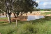 261 Borgas Road, Booleroo Centre, SA 5482-Image
