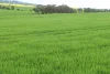 261 Borgas Road, Booleroo Centre, SA 5482-Image