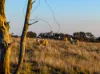 2669 sapphire road, Wheeo, NSW 2583-Image
