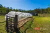 273 Lowes lane, Booral, NSW 2425-Image