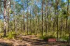 273 Lowes lane, Booral, NSW 2425-Image