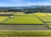 279, Dulguigan NSW 2484-Image