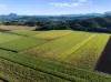 279, Dulguigan NSW 2484-Image
